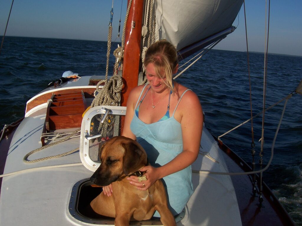 JK Dog Walking New Milton dogs best friend