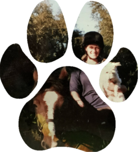 JK Dog Walking New Milton on the beach running